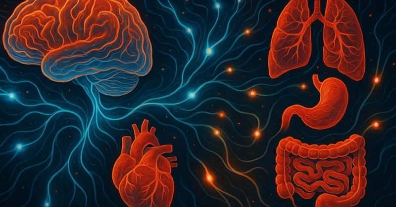 Beynin “altıncı hissi”: yeni elmi baxış