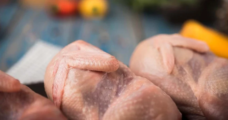 Görünməz təhlükə: Toyuq zəhərlənməsi belə başlayır