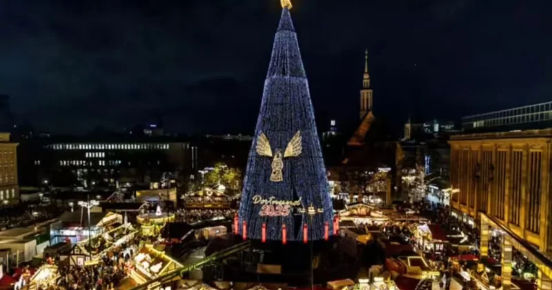 Зажгли огни на самой высокой рождественской ели мира