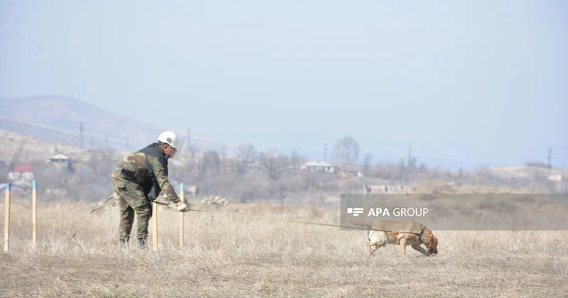 Minatəmizləyənlərə təlimlərin keçirilməsi Qaydası təsdiqlənib