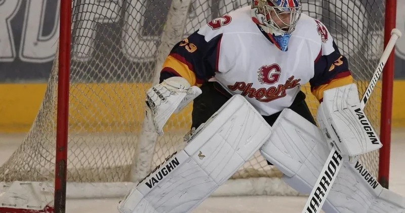 Petr Çex hokkeyçi karyerasını bərpa edib