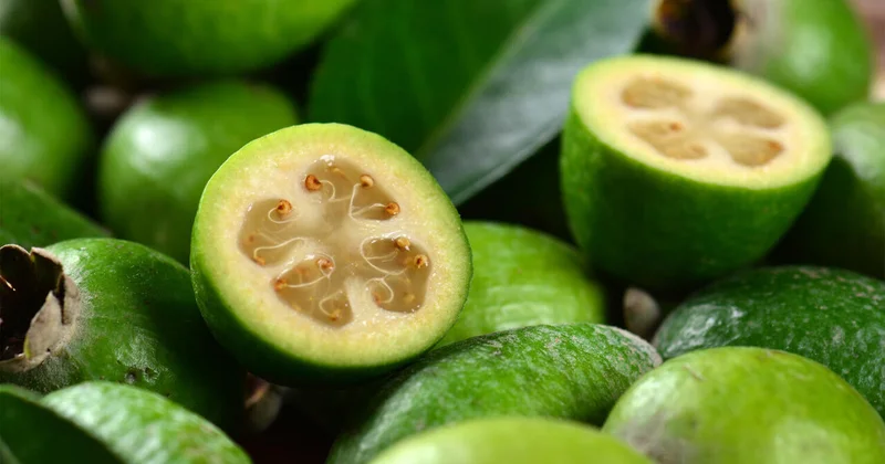 Кому не стоит есть фейхоа?