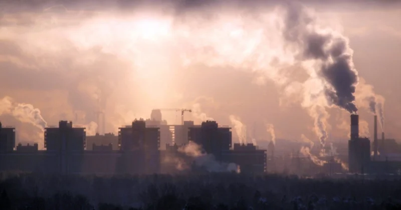 Qonşu ölkə təhlükədə Azərbaycan nə etməlidir?