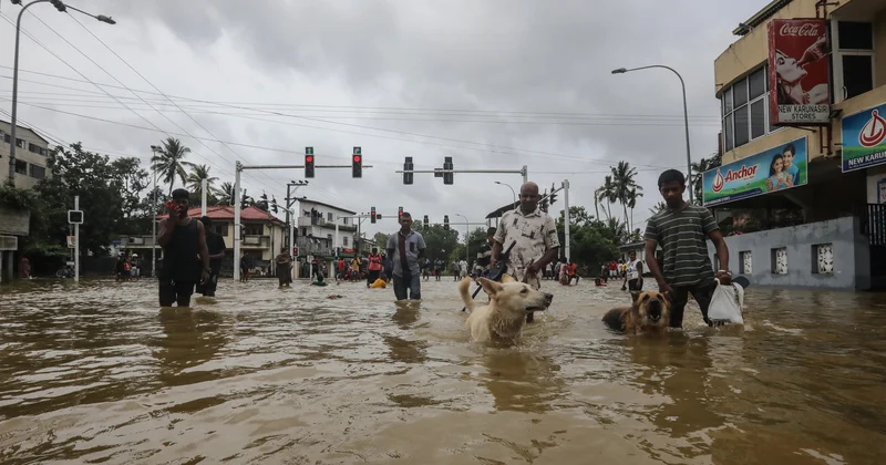 Şri Lankada Ditva qasırğası azı 56 nəfərin həyatına son qoyub