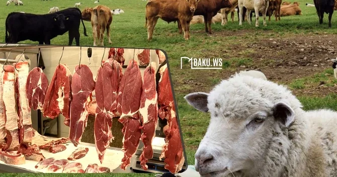 Azərbaycanda ətin qiyməti ucuzlaşa bilər? VACİB AÇIQLAMA