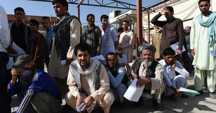 Кабул обсуждает с Москвой привлечение мигрантов в сельское хозяйство