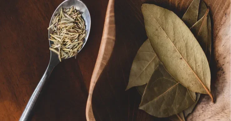 Çayınıza dəfnə yarpağı əlavə edin: Faydalarına TƏƏCÜBLƏNƏCƏKSİNİZ