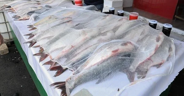 3 cü mikrorayonda yerləşən bazarda nöqsanlar aşkarlandı