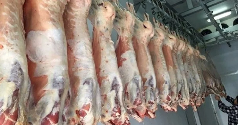 Elektroşok verilərək kəsilən heyvan... AÇIQLAMA