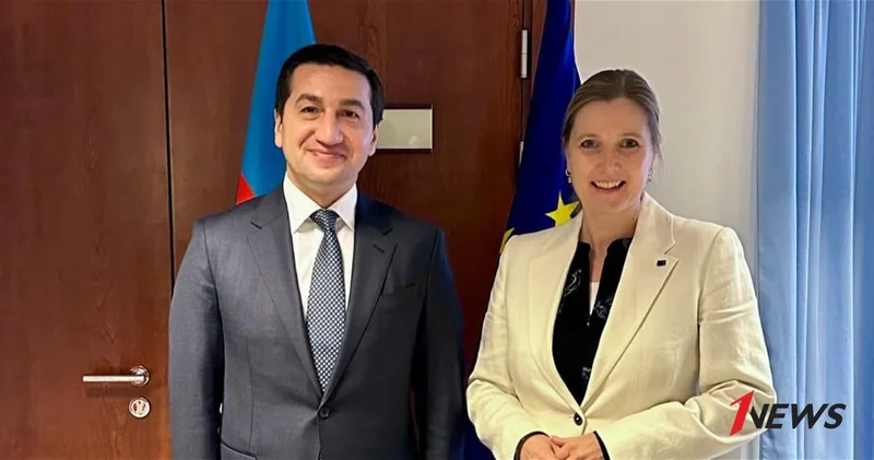 Хикмет Гаджиев проинформировал членов комитета ЕС о мирной повестке Азербайджана и Зангезурском коридоре ФОТО