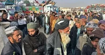 Талибы хотят трудоустроить мигрантов в России