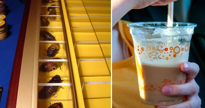 Tarakan və qurudulmuş sarı un qurdları ilə kapuçino...