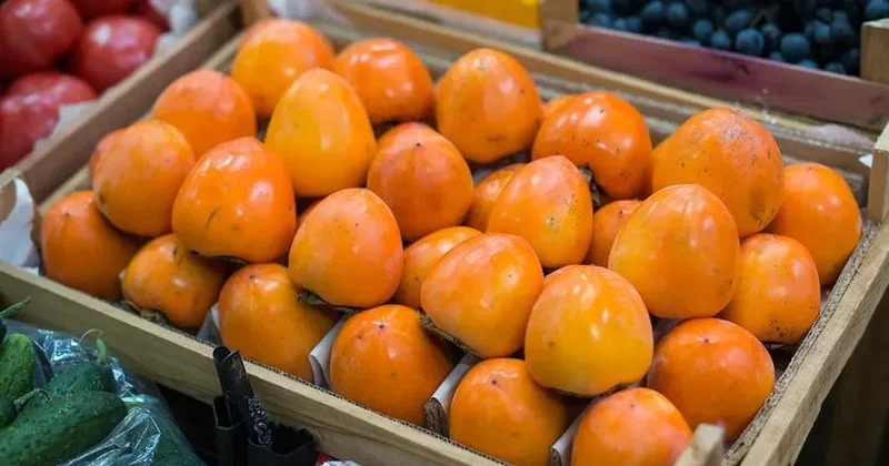 В Чечне проверили 73 тонны фруктов из Азербайджана Minval Politika