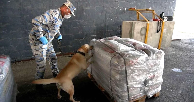 Азербайджан перехватил рекордную партию героина при поддержке США Minval Politika