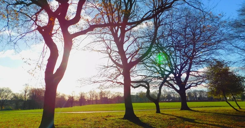 Dekabrda hava necə olacaq? Aylıq proqnoz