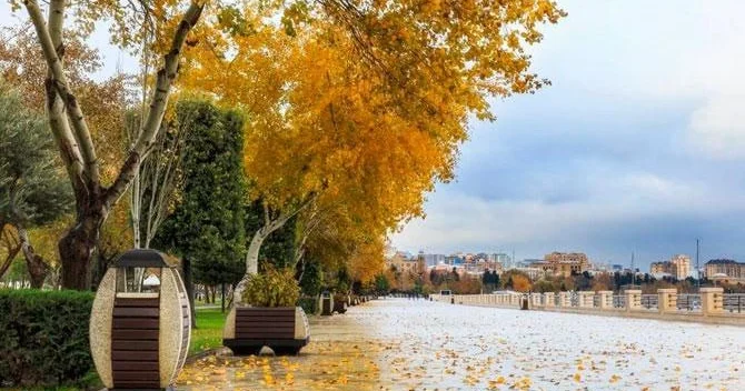 Küləklər şəhəri niyə külək üzünə HƏSRƏT QALIB?