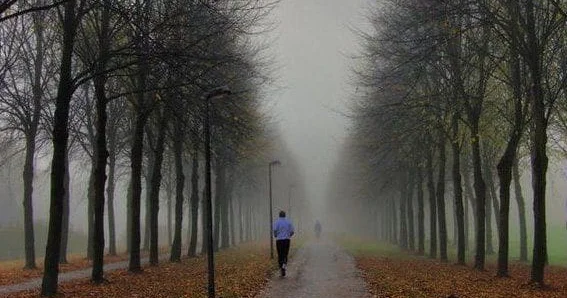 Şənbə gününü havası: Çiskin yağış, duman...