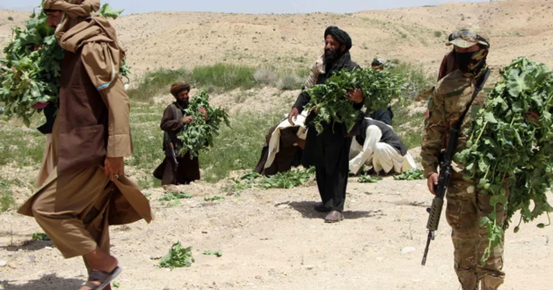 Афганцы хотят в Россию