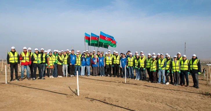SOCAR Midstream Operations высадила более 600 деревьев в Абшеронском районе