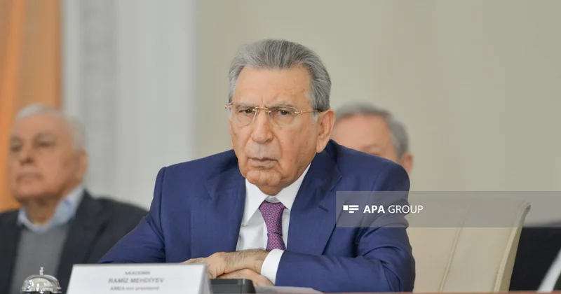 Ramiz Mehdiyev Dil Komissiyası sədrinin müavini vəzifəsindən azad edilib