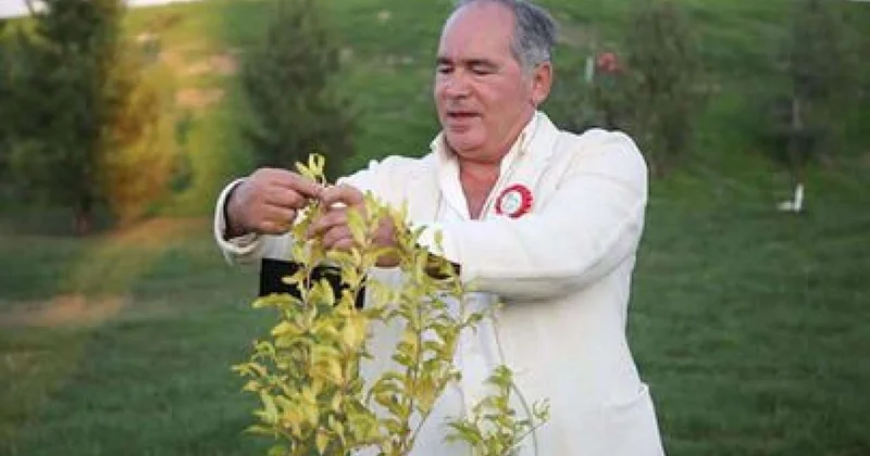 “AzNar” müflis olmaq ərəfəsində Borc yarım milyona çatıb