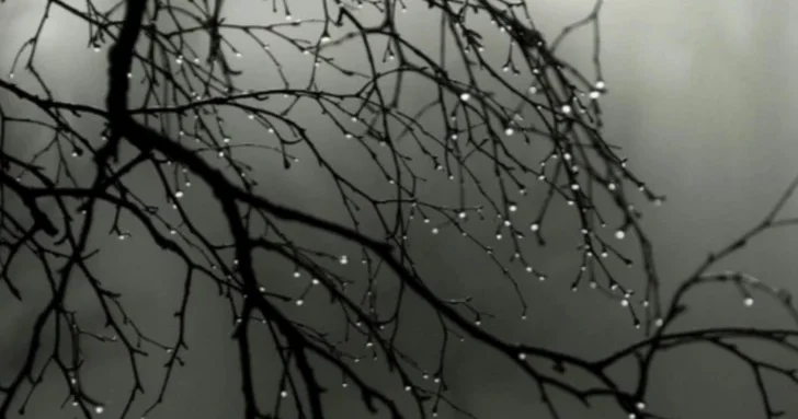 Обнародован прогноз погоды в Азербайджане на 29 ноября