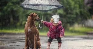 İnsanlığın ehtiyacı olan duyğu!