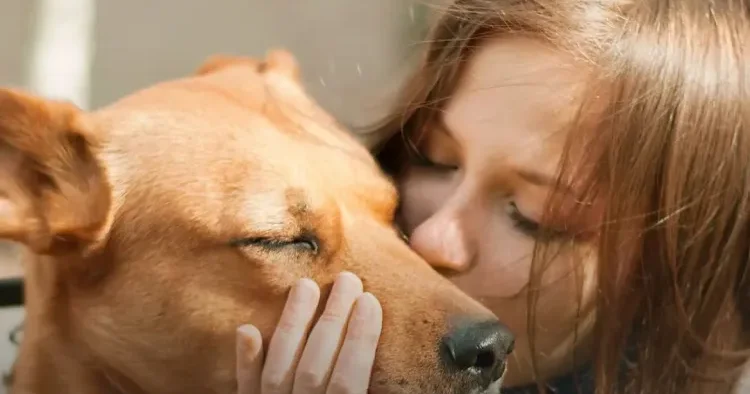 İtlərlə təmas zamanı nə dərəcədə diqqətli olmalıyıq? Bioloq xəbərdarlıq etdi