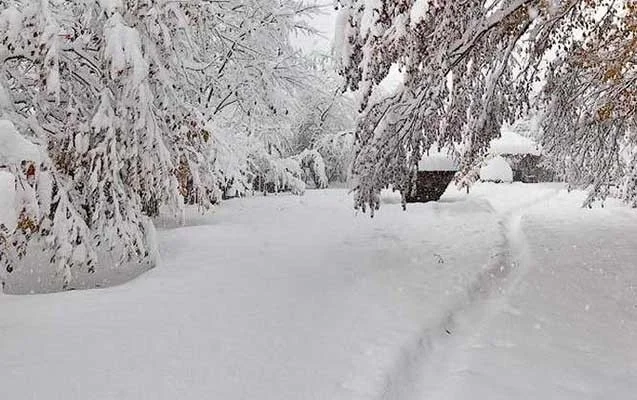 Şahdağ və Qaxda qar yağır Faktiki hava