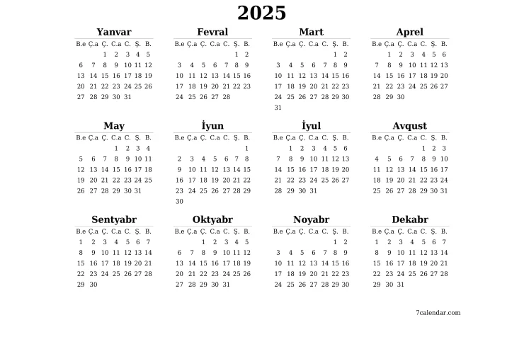 2025ci il nə ili olacaq? SƏRƏNCAM