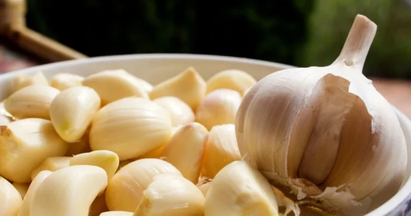 Ağız təmizliyində sarımsaq satışdakı qarqara vasitələrindən daha təsirlidir ARAŞDIRMA