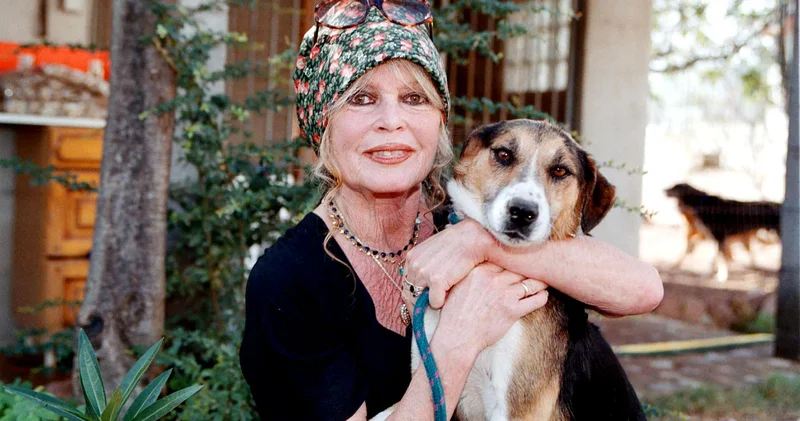 Bardo ölümündən sonra mustanq olmağı arzulayırdı...