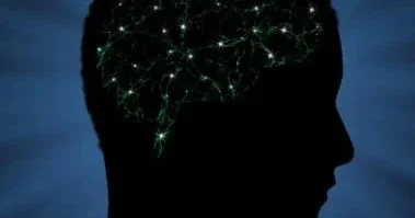 Beyin niyə köhnə səhvlərindən dərs çıxarmır? ARAŞDIRMA