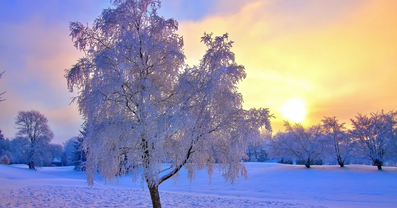 Завтра в Баку ожидается переменная облачность, в горных районах выпадет снег