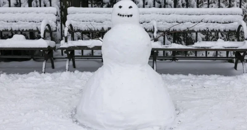 Нью йоркцам дали совет: Отличный день для зачатия детей