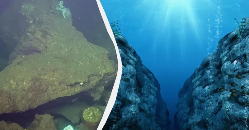 Yerin ən dərin nöqtəsi: Marian çökəkliyi haradadır və kimlər yaşayır?