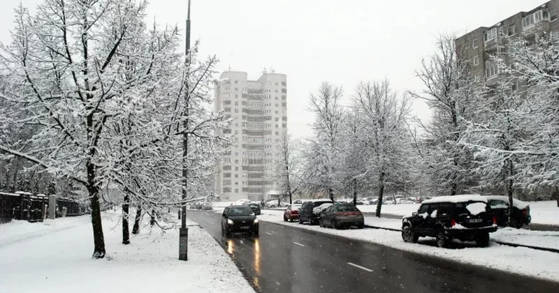 В Литве из за бури остались без света более 7 тыс. жителей