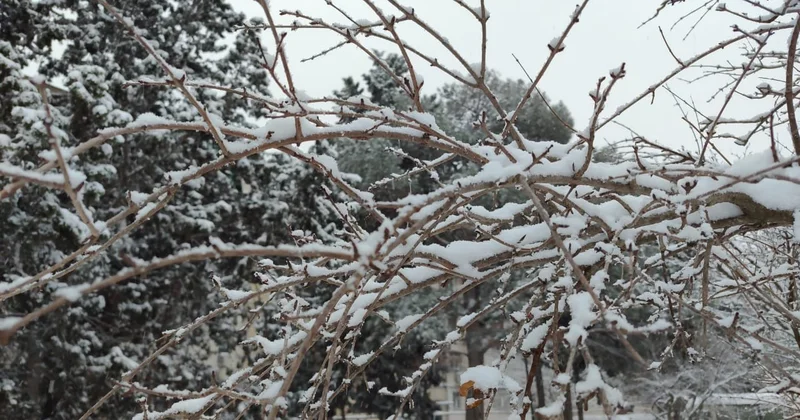 Высота снежного покрова в Нахчыванской АР достигла 29 см