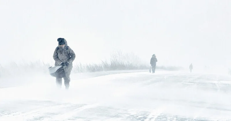 Finlandiyada fırtına 160 mindən çox ev elektriksiz qaldı