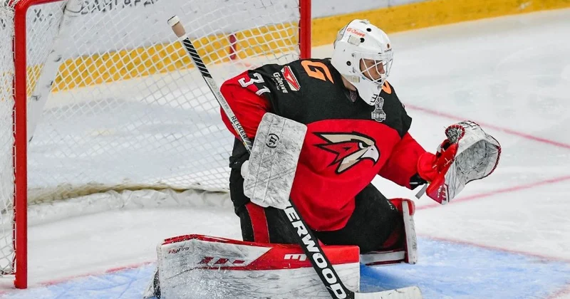 В США российский хоккеист боится выходить из дома с наступлением темноты Minval Politika