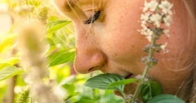 Dünya belə qoxuyur: Qoxu Atlası hazırlanıb