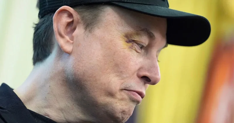 Маск считает, что в Брюсселе произошло великое замещение