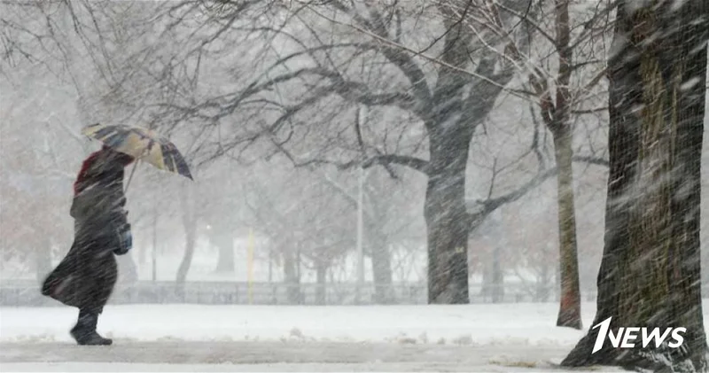 Осадки и сильный ветер ФАКТИЧЕСКАЯ ПОГОДА
