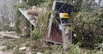 Finlandiyada Hannes fırtınası Rekord sayda elektrik kəsintiləri baş verib