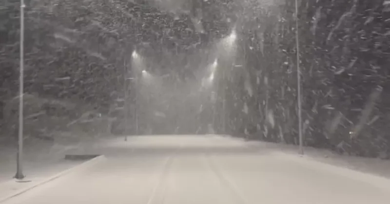 В Кяльбаджаре выпал снег: в горах до 35 см