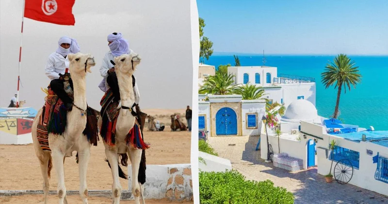 Şimali Afrikanın incisi: Tunisə getmək üçün dörd ideal mövsüm