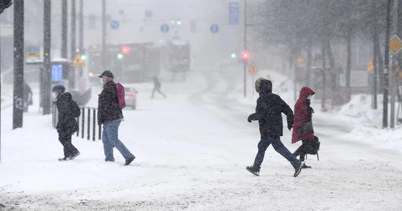 В Финляндии зимний шторм оставил более 160 тыс. домов без электричества