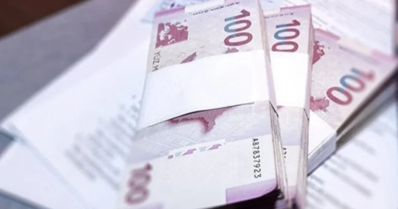 Dövlət zəmanəti ilə sahibkarlara verilən kreditlərin həcmi açıqlandı