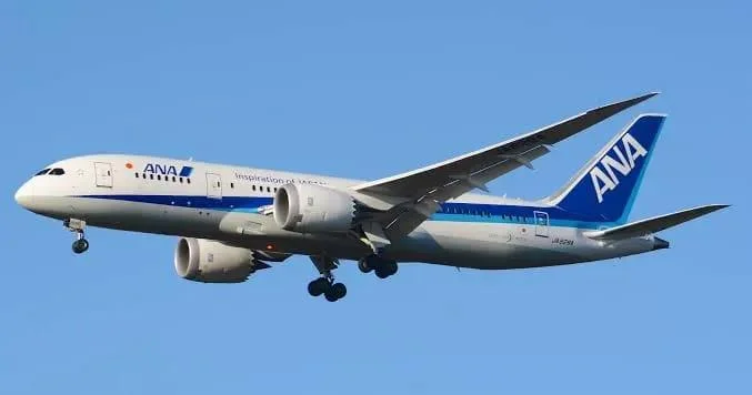 Bu ölkədə təyyarə Qəzası: Ölənlər VAR