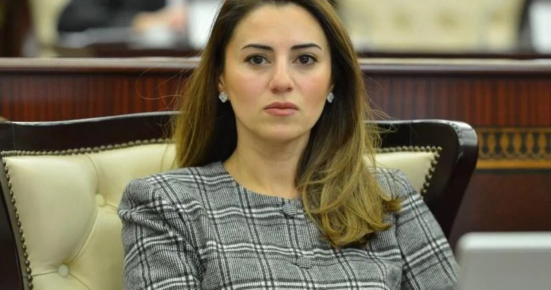 ПАСЕ систематически придерживается однобокой позиции по отношению к Азербайджану Севиндж Фаталиева